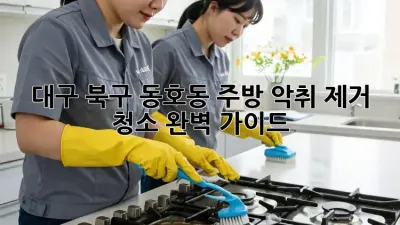 대구 북구 동호동 주방 악취 제거 청소 완벽 가이드