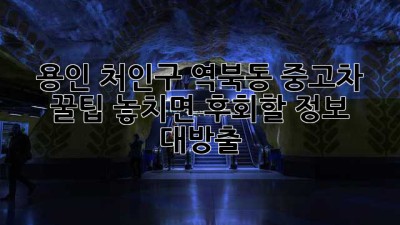 용인 처인구 역북동 중고차 꿀팁🍯: 놓치면 후회할 정보 대방출!