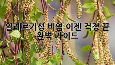 알레르기성 비염, 이젠 걱정 끝! 완벽 가이드